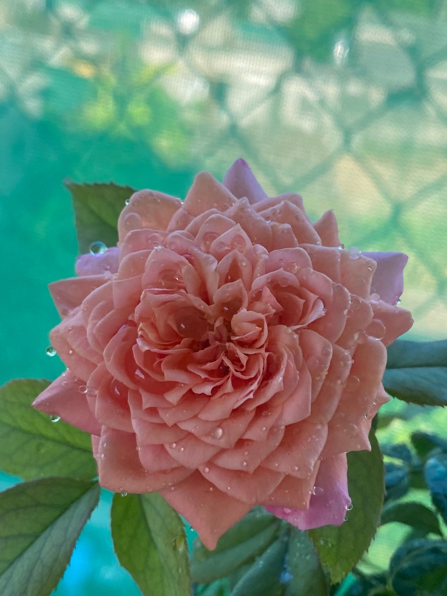 Rất tốt. Phù hợp với diện tích mình cần. Hàng chất lượng