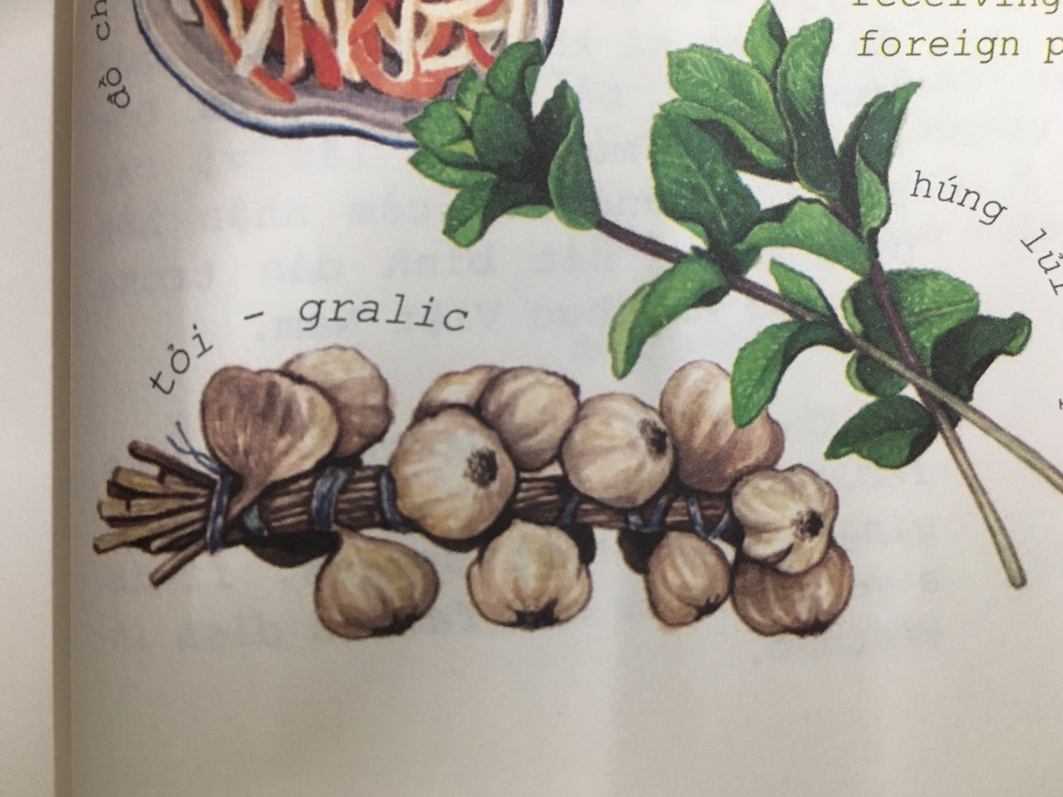 Mình rất thích quyển sách này nên khi tình cờ thấy ở nhà sách đã phải về đặt ngay trên tiki. Sách minh hoạ rất đẹp, chất giấy dày dặn, trình bày rõ ràng. Điểm trừ duy nhất đó là khâu biên tập chưa tốt khi vẫn còn một số lỗi tiếng Anh dù mình mới chỉ đọc sơ qua vài trang mà đã thấy hai lỗi như hình.