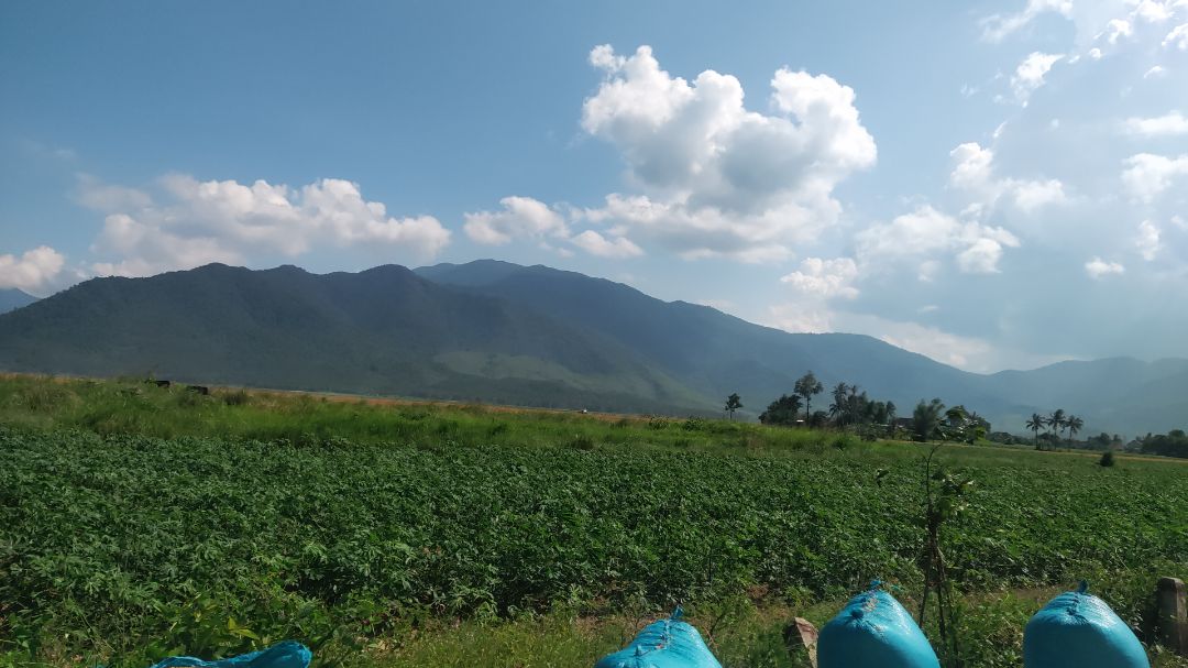 hàng đóng gói cẩn thận và chất lượng . sẽ còn ủng hộ