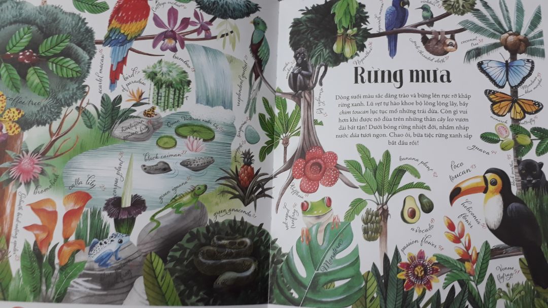 Mình mua từ Fahasa, ngay đợt sale giảm gần 1 nửa. Chất lượng tốt. Sách giấy cứng dày và hình ảnh đẹp. Cung cấp khá nhiều kiến thức phù hợp lứa tuổi và có cả từ vựng Tiếng Anh.