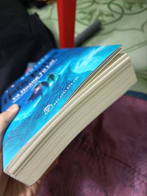 Chất lượng sách không như mình trông đợi nếu không muốn nói là tệ.