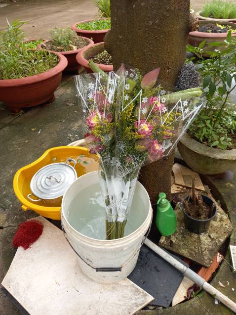 Shop giao hàng nhanh, đóng gói cẩn thận. Chấm cho shop 5 sao. Về nội dung sách bàn về những vấn đề huyền bí, quan điểm của tác giả cũng khá nặng nề về tâm linh, không khách quan. Nội dung ở chương 3 về cơ thể năng lượng có vẻ dễ tiếp cận hơn. Mình chưa đọc hết, nhưng để hiểu hết nội dung của sách thì phải cần thời gian đọc lại, đọc thật kỹ. Bạn nào thích chiêm nghiệm thì có thể mua quyển này để nghiền ngẫm vì nội dung sách này khó hiểu quá