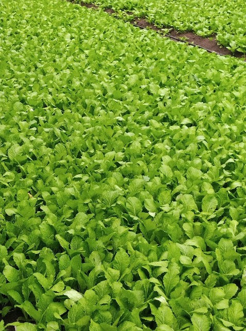 Ko hiệu quả…ko có tác dụng