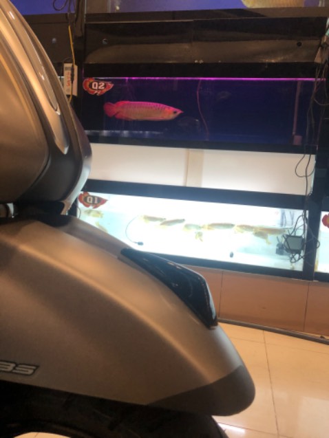 Đạ nhận hàng và gắn lên xe , rất ưng ý .