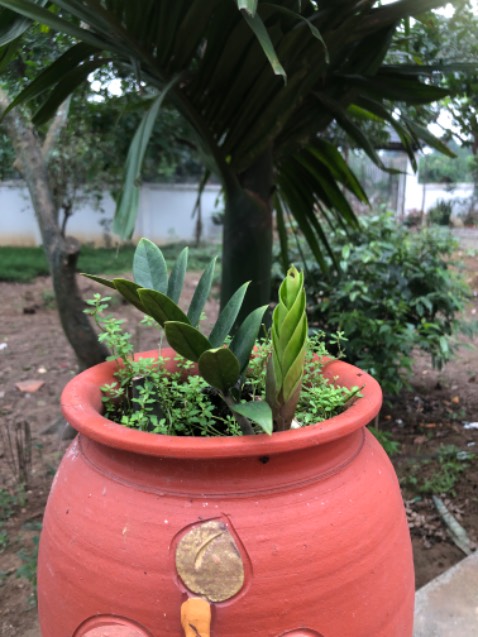 Sorry vì ảnh k liên quan ạ
Giao hàng nhanh lém mình đặt htrc hsau là có rui 
Anh shipper cute và dễ mến
Màu sách khá ưng ạ