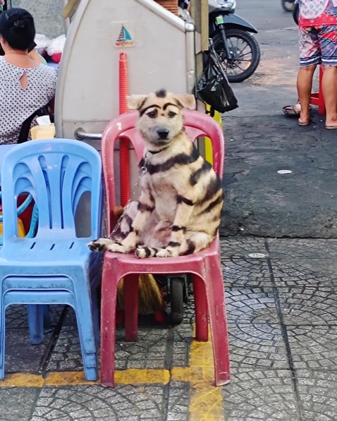 Bìa đẹp, sách hay, đóng gói và vận chuyển cẩn thận. Dịch vụ miễn chê. Cảm ơn shop và cảm ơn shipper. Ảnh mang tính chất nhận xu.