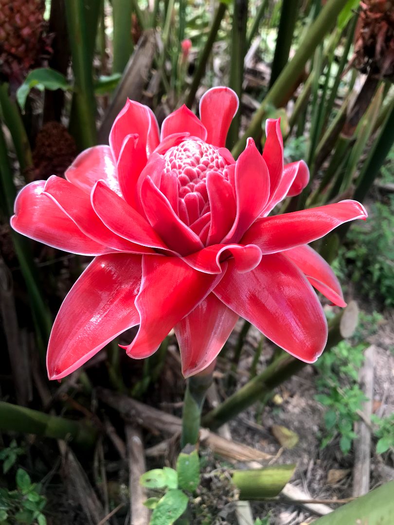 Hạt ngon, giòn, thích nhất là nhiều hạt như loại này, mỗi tội giá hơi cao tí, nhưng tiền nào của nấy ạ. Mình lười chụp hình ạ😊