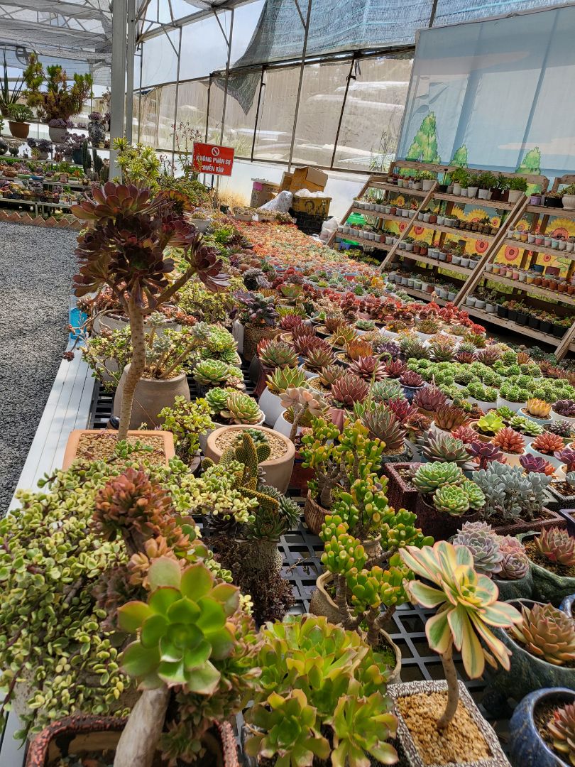 thấm hút tốt, chất lượng sản phẩm tốt