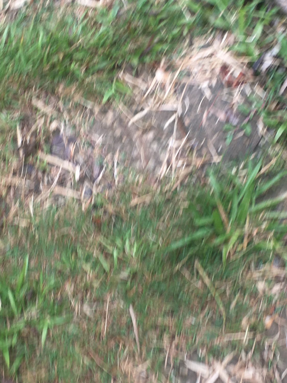 ok sim đúng mô tả. lắp vào sài luôn. chỉ biết hạn sử dụng trong tháng là ngày 30. còn ngày kích hoạt có phải là 30/10 thì mình ko có dùng sim mobi nên ko gọi tổng đài đc. hi vọng đủ 12 tháng. Lý do cho 4* vì giao hàng lâu quá. theo dõi đơn thấy nằm ở kho đến 4 ngày luôn...ko nhanh như bên shoppe hay *** . đc cái mua ở đây an toàn hơn.