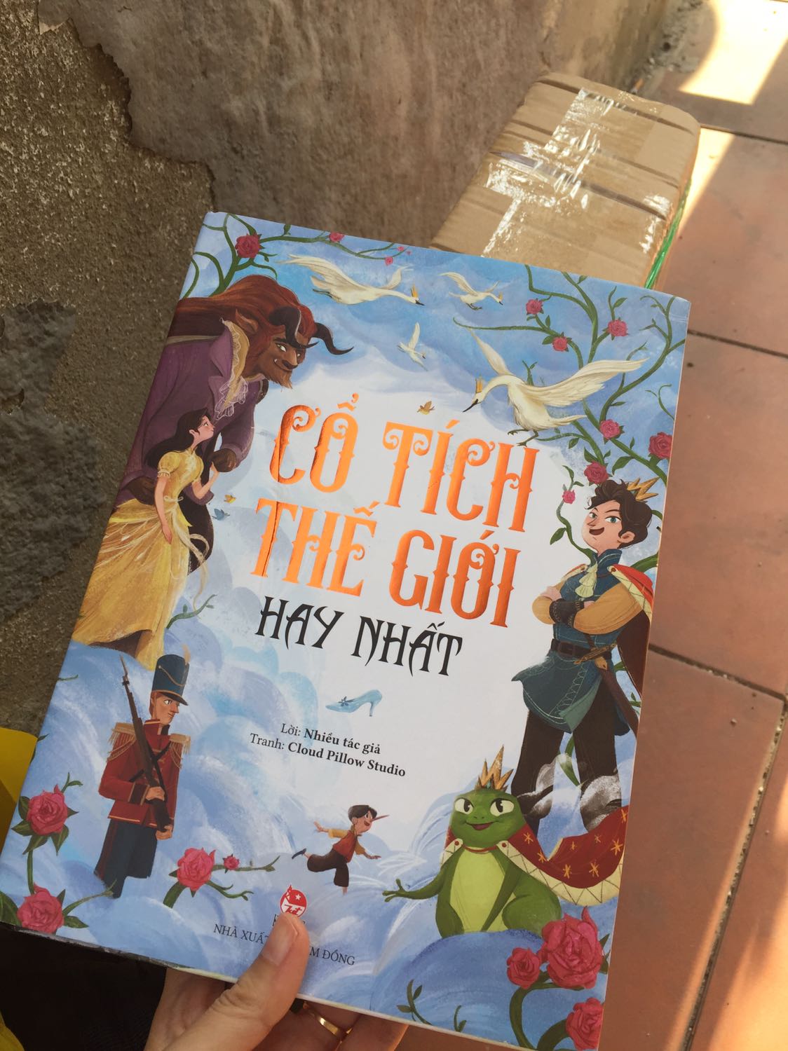 Sách đẹp, bìa cứng, hình minh hoạ rất đẹp. Nội dung trình bày gọn gàng, tuy nhiên ở truyện bạch tuyết thì hình minh hoạ quan tài thuỷ tinh lại bằng gỗ, chưa sát với nội dung.