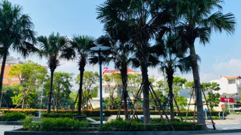 Hàng y hình, sp tốt, ko mùi rất thích Hàng y hình, sp tốt, ko mùi rất thích