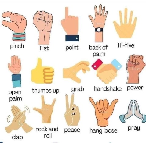 Tiki Trading là một gian hàng trực tuyến chuyên bán các sản phẩm chính hãng từ các thương hiệu, được Tiki phân phối và bán hàng trực tiếp đến người tiêu dùng. Có thể hiểu Tiki Trading giống như bất kì một shop online bất kỳ bán đa dạng sản phẩm trên nền tảng sàn thương mại Tiki với giá cả khá cạnh tranh.