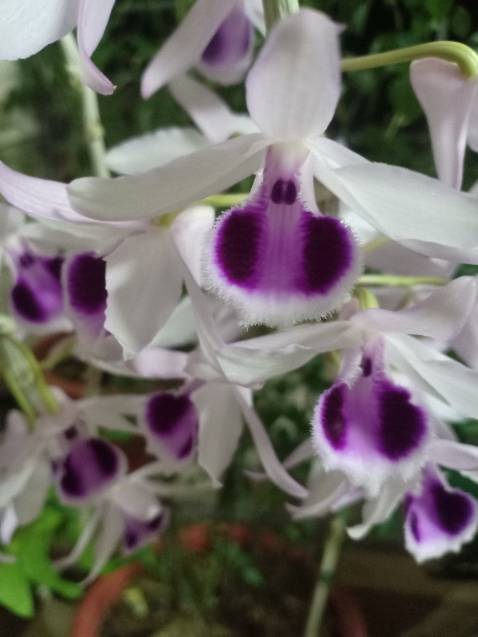 Thật sự mua sản phẩm này qua đây mình cũng đắn đo mãi. Sau thấy a bạn giới thiệu đã mua hàng nhiều lần của shop rồi. Mình đã quyết định đặt hàng. Không ngờ nhận được hàng mình quá hài lòng luôn. Máy chạy khá êm, chịu lực tốt. Shop uy tín nha. Tặng shop 5* nè.