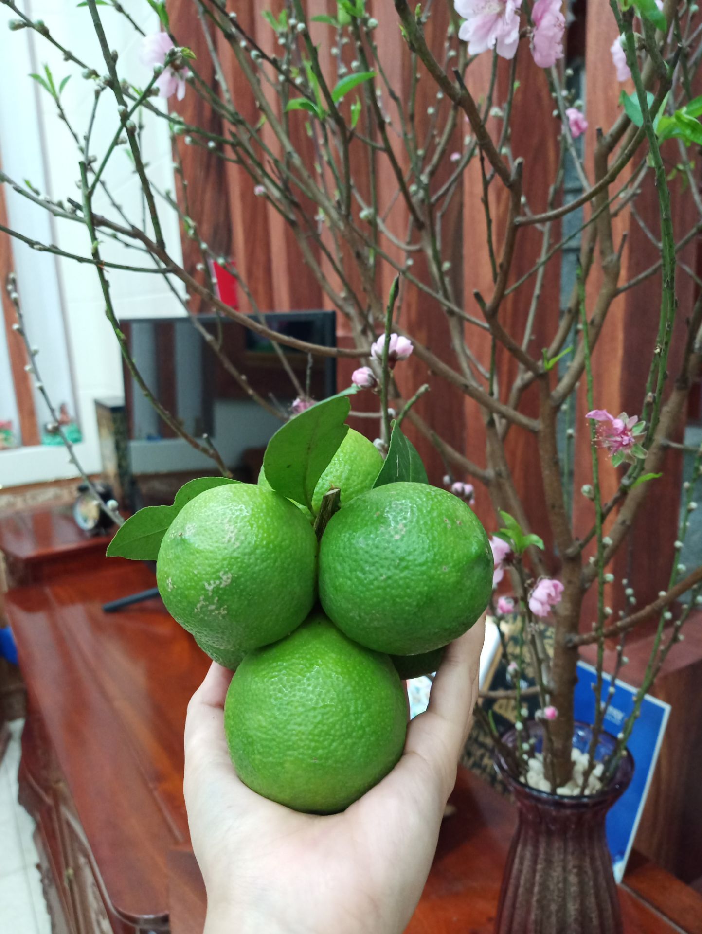 giao hàng nhanh,đóng gói cẩn thận