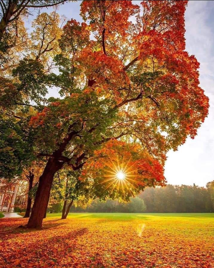 Sản phẩm chấp nhận được, nhưng shop giao hàng hơi lâu, mất 7 ngày mới nhận được hàng. lần sau shop cần cải thiện dịch vụ giao hàng nhé