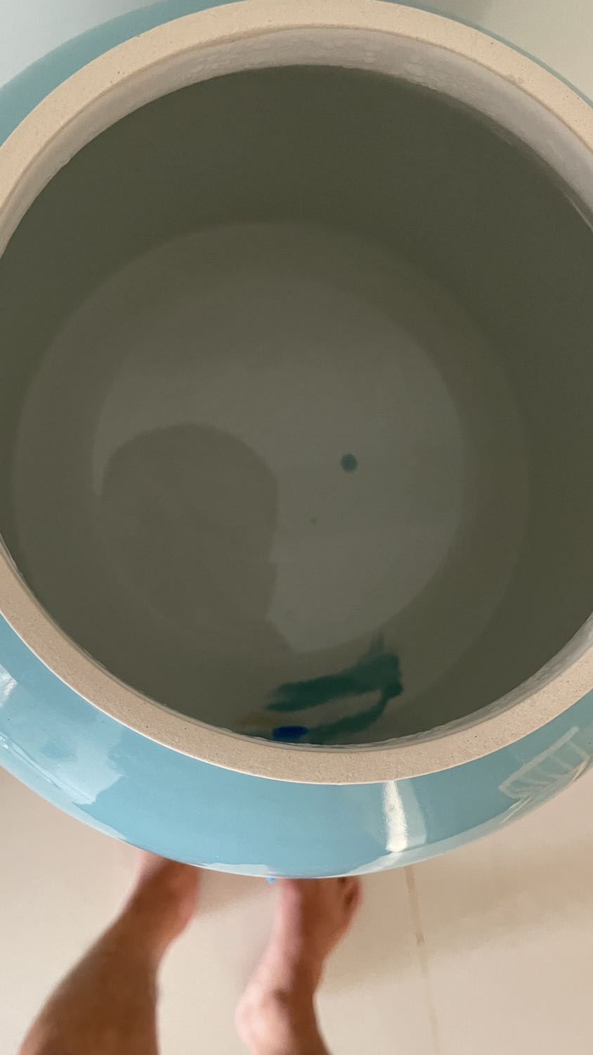 Đánh giá chung về chất lượng với tầm giá 400k là tạm ổn. Để cải thiện chất lượng tốt hơn, nên:
- Vòi xả nước uống: đổi ra loại lớn hơn. Loại hiện tại rất nhỏ, xả uống 1 ly nước mà phải mất thời gian chờ đợi lâu, mình đã phải tự thay 1 loại khác.
- Phần chỗ nắp đậy (như hình): không được tráng men nên khi mở ra đóng nắp bình lại dễ gây ma sát giữa nắp và thành bình làm bong tróc đất nung và rơi *** vào nước uống bên trong, ngoài ra do không được tráng men nên khi nắp cọ vào thành bình thì gây ra âm thanh rất “khét” làm khó chịu. Chưa rõ đây là lỗi của sản phẩm mình mua hay toàn bộ sản phẩm đều như vậy. Nhà sản suất nên tráng men đầy đủ và kỹ.
- Sơn bị loang lỗ bên trong thành bình (như hình)