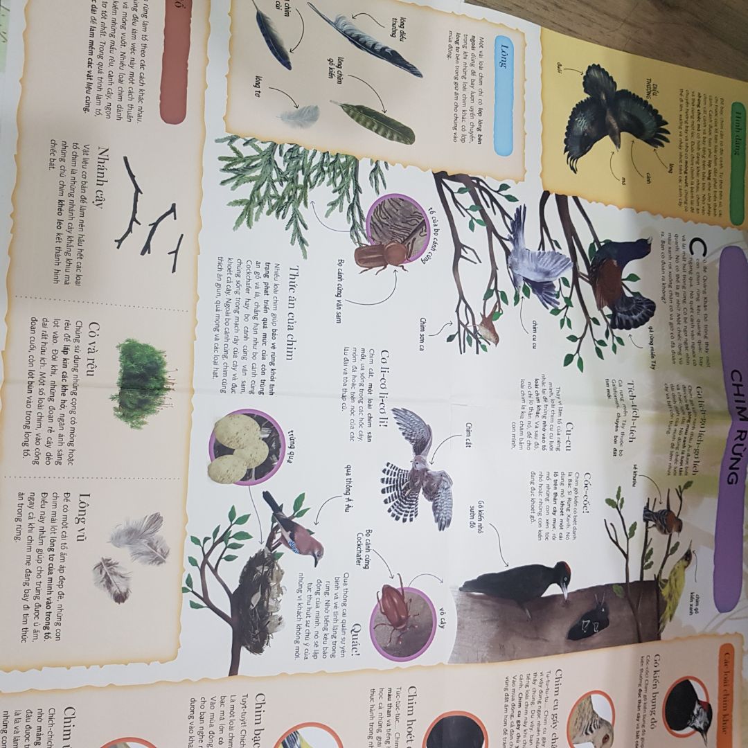 Truyện cổ tích kết hợp với tìm hiểu về động vật trong rừng, sách rất hay, bé nhà mình rất thích.
Fahasa giao hàng nhanh, đóng gói kỹ, luôn hài lòng về sản phẩm của Fahasa.