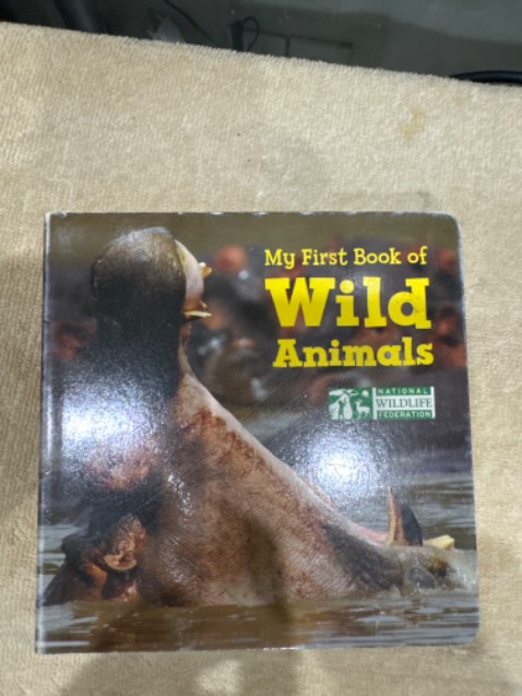 Sách đẹp, giấy tốt, in đẹp