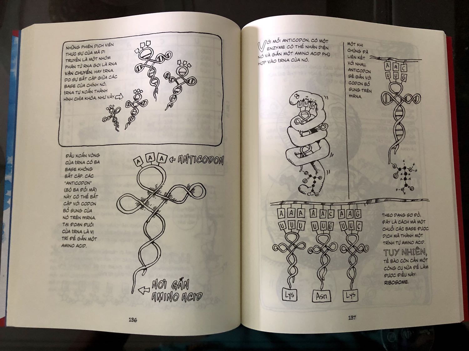 Bộ sách rất tuyệt, kiến thức phổ thông, đặc biệt cho các em học sinh. Điểm trừ duy nhất là sách bị gấp vài trang, khá tiếc