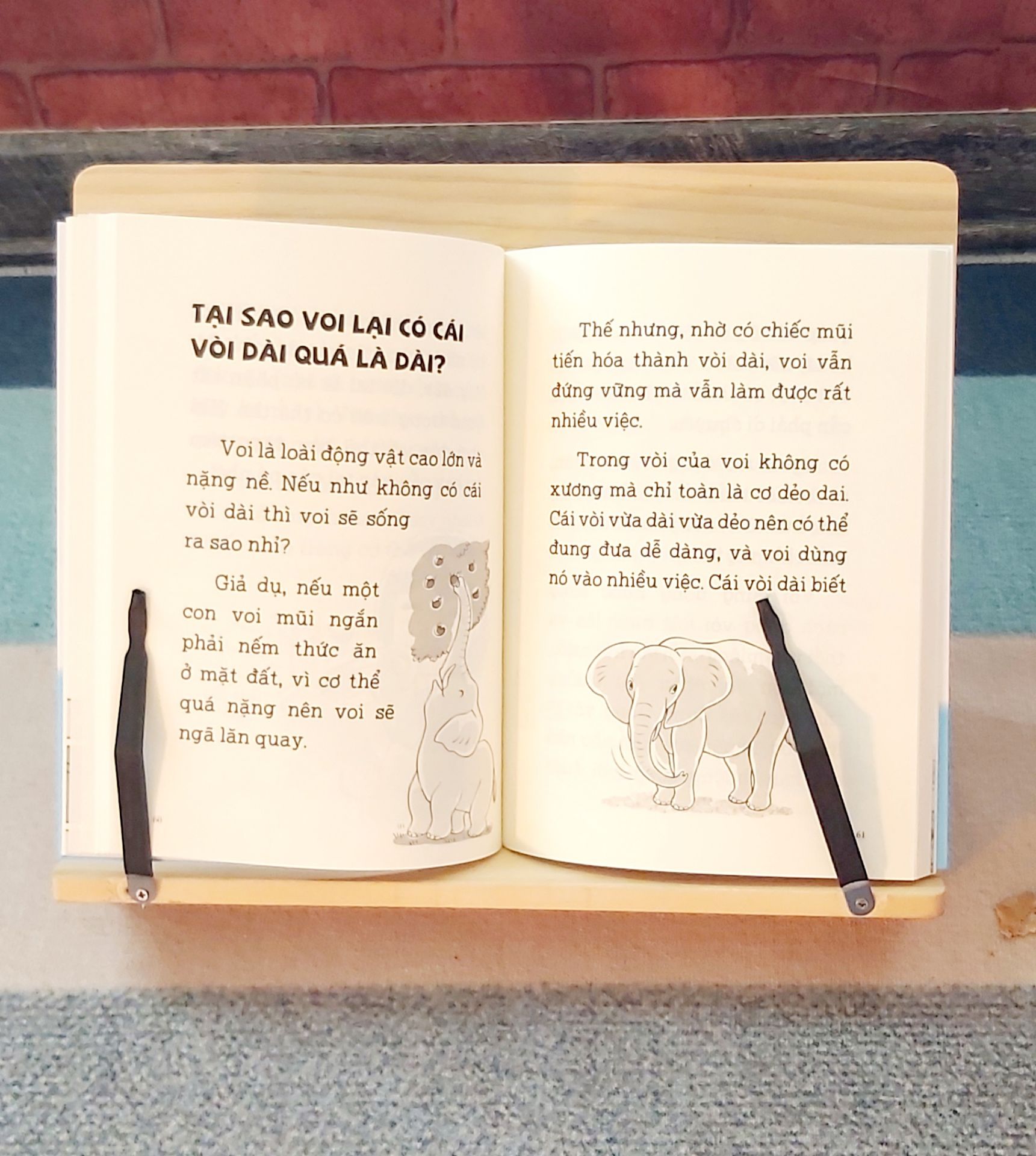 Cuốn sách gồm 40 điều hỏi đáp thú vị và gần gũi mà rất nhiều trẻ tuổi lớp 1 hay nghĩ tới. Các câu hỏi chia theo 4 lĩnh vực: cơ thể, vật dụng, loài vật, vũ trụ. Ngôn ngữ trong sách nhẹ nhàng, vừa đủ sức hiểu của trẻ. Minh họa đen trắng đơn giản và rõ ràng để hỗ trợ trẻ cảm nhận.
Một cuốn sách bổ ích ko chỉ với phụ huynh mà cho cả các con. Chữ in to giúp các bạn nhỏ dễ đọc. 
Mình hài lòng với dịch vụ Tiki, nhanh và nhiều tiện ích.