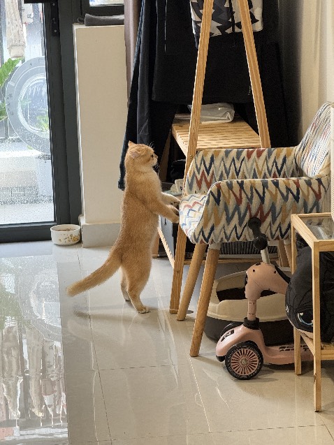 Dear users, 

Please find the Daily Stock Report of Hanoi as the attachment.

Regards