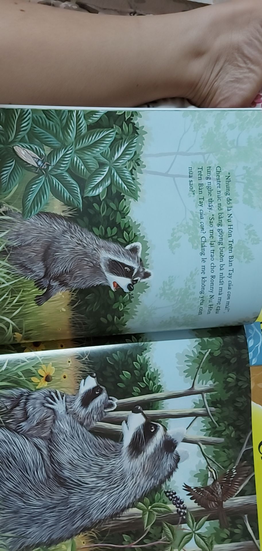 sách rất hay, rất ý nghĩa. bộ sách đề cập đến nhiều khía cạnh rất hay trong cuộc sống như có em, lòng can đảm...ngôn từ trong sách nhẹ nhàng, ấm áp và chỉnh chu. màu sắc in tươi sáng, sắc nét. shop giao hàng nhanh. đây là bộ sách mình rất hài lòng và là sách nên có trên kệ sách của các bé.