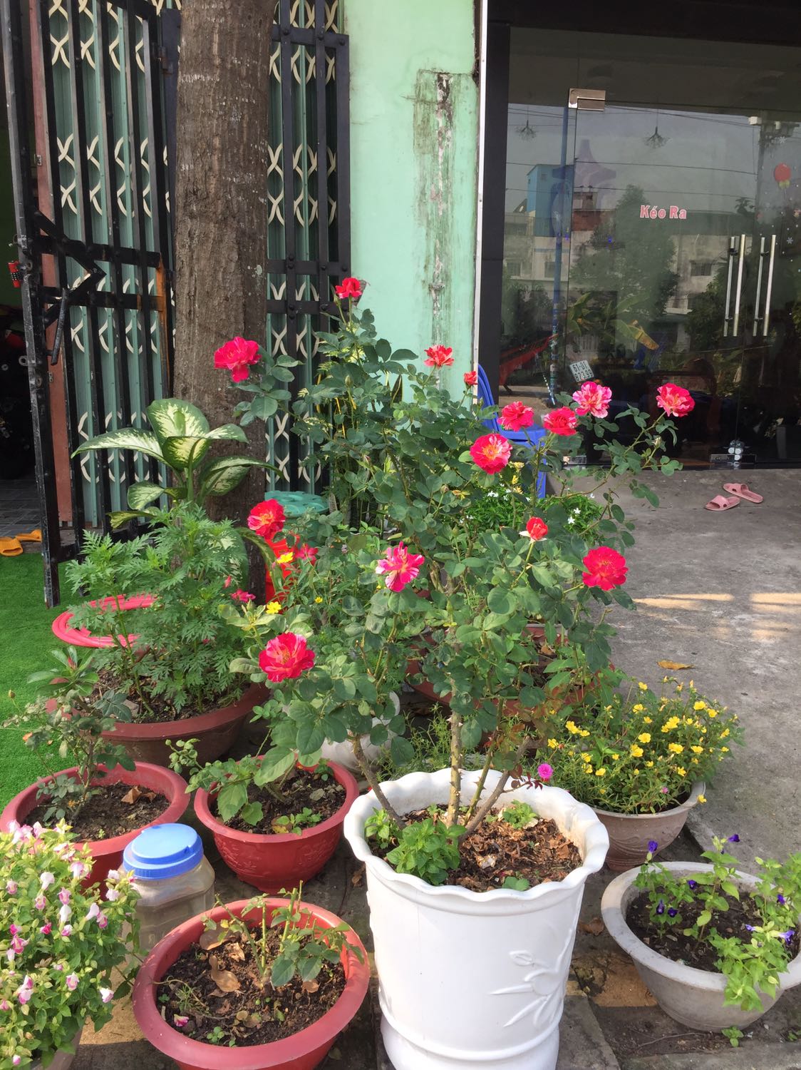 Giao hàng nhanh, chất lượng tốt