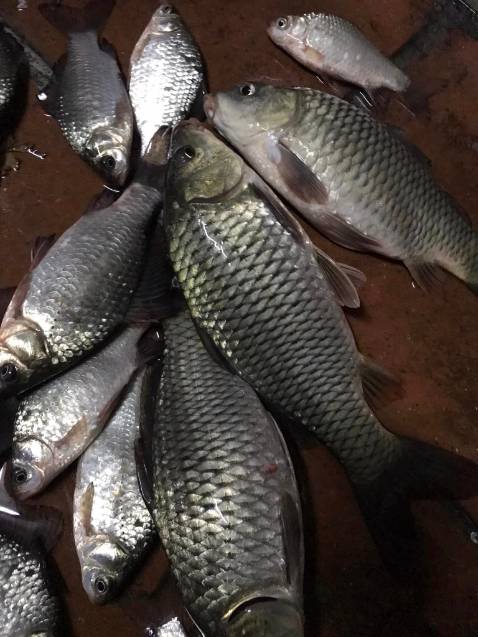 Hàng đẹp giao nhanh đóng hàng cẩn thận. Còn chất lượng phải *** qua mới biết