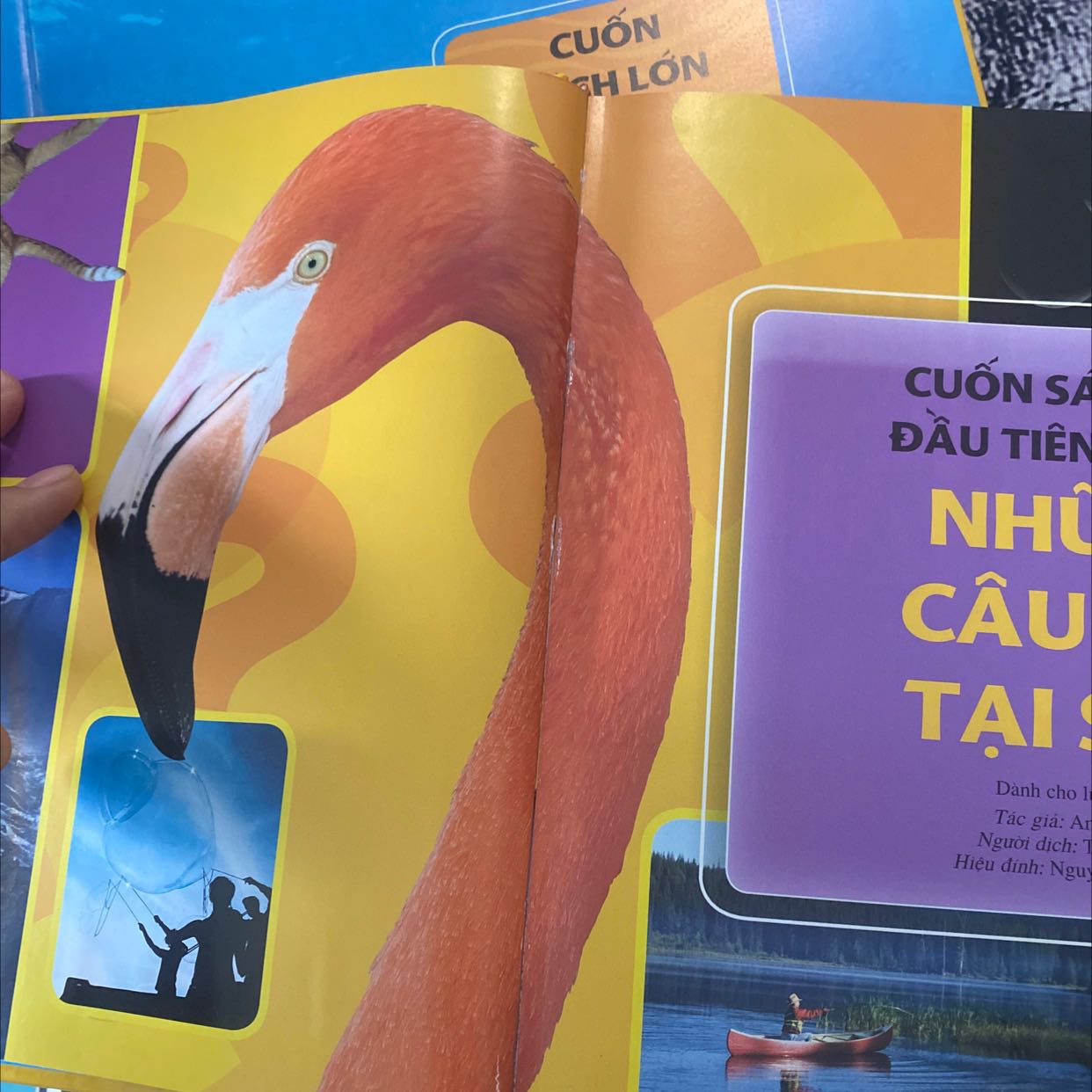 Sách nhìn đẹp ❤️