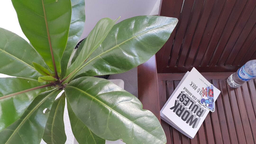 Cuốn này mình mua lâu nhưng mới đọc xong hôm nay. Cuốn sách rất cần không chỉ cho phòng nhân sự mà còn cần cho cả cấp quản lý. Hai đoạn chót và trả lương ko công bằng là chương mình thích nhất.