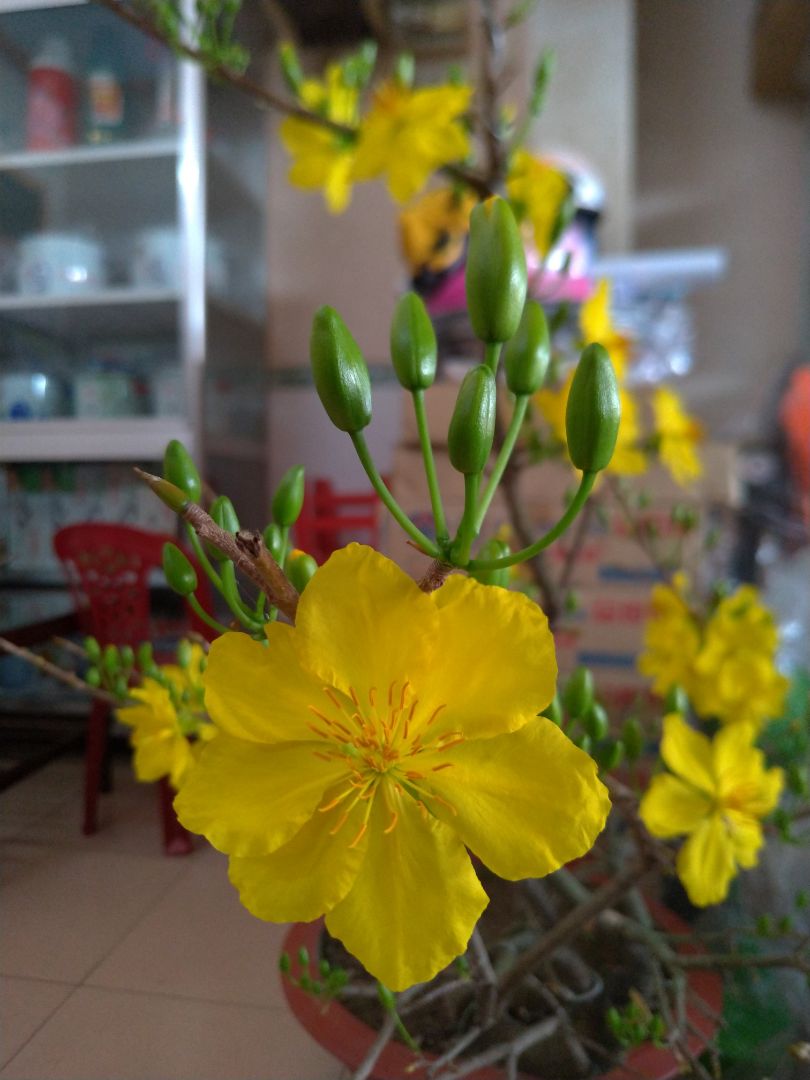 mua được gia tốt, shop vẫn giao hàng đầy đủ, công dụng thì phải dùng thời gian mới đánh giá được, nhưng sản phẩm nhìn ok, mẫu mã đẹp, đóng gói kỹ, xin cảm ơn.