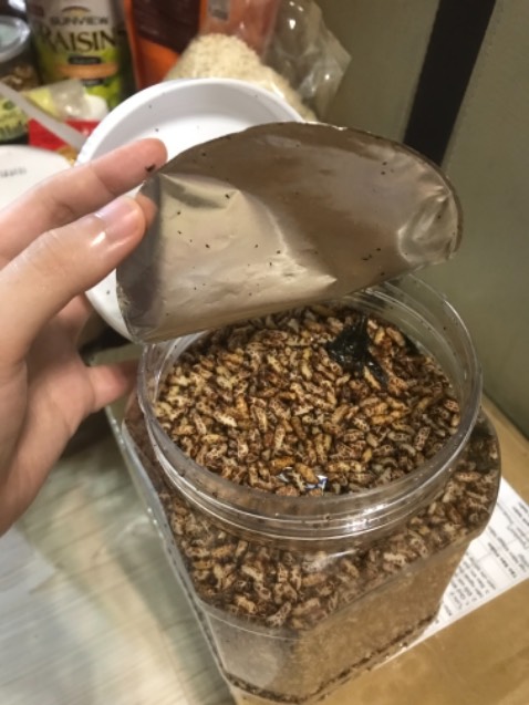 Nhận thùng hàng thấy rớt vài hạt cơm mở hộp ra thì thấy hộp bị bung nắp, miếng seal bị mở ra như vầy, cơm đổ ra đầy thùng. Ko biết do vận chuyển hay do shop giao hàng bị vậy.