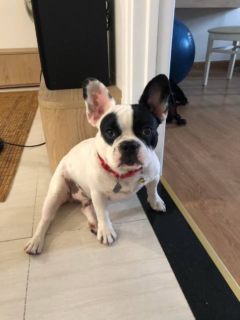 Bé mình rất thích ăn, mỗi lần gặm trong 3 nốt nhạc.