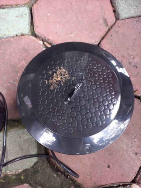 Đèn bắt muỗi chất lượng lắm nhé. Thành quả sau 3 ngày  treo ngoài vườn.