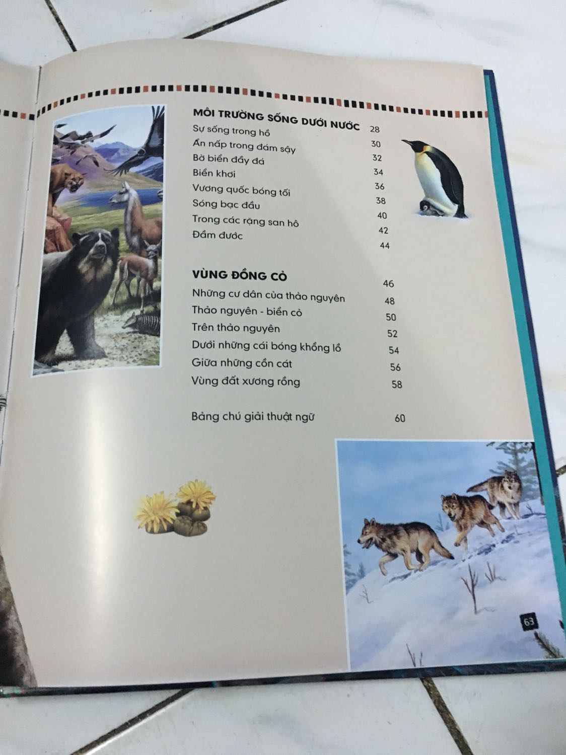 Giấy đẹp, hình ảnh sáng!
Dày 63 trang
Rất ok so với giá bỏ ra!