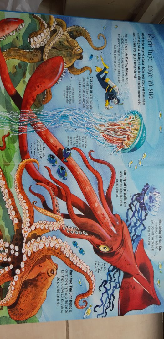 mình đã mua rất nhiều sách tương tác big book sách khổng lồ, hàng ngày con mình đều lấy sách ra đọc. Xem các nhận xét mình quyết định mua thêm quyển về các loại động vật biển, mở sách ra rất thất vọng, hình vẽ những con cá như quái vật hung dữ xấu xí, ko phù hợp các bé dưới 5 tuổi.