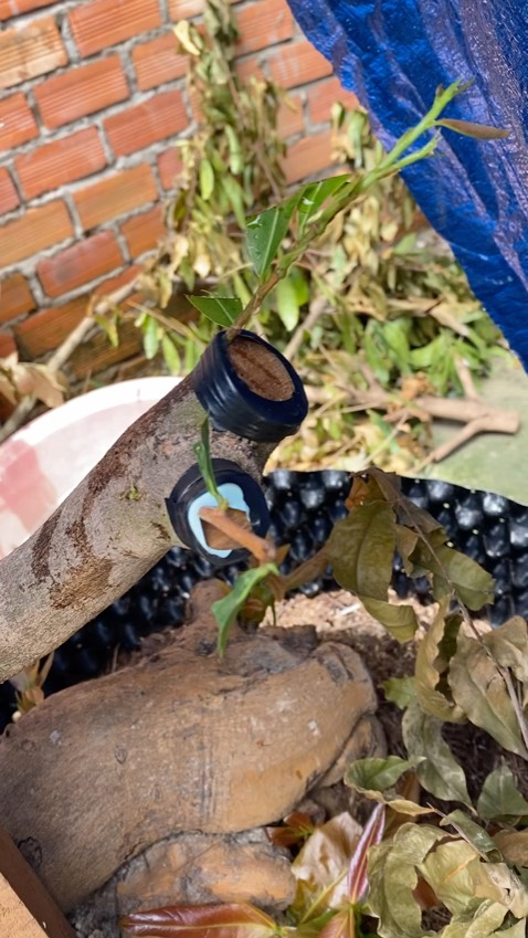 Sản phẩm kết dính tốt