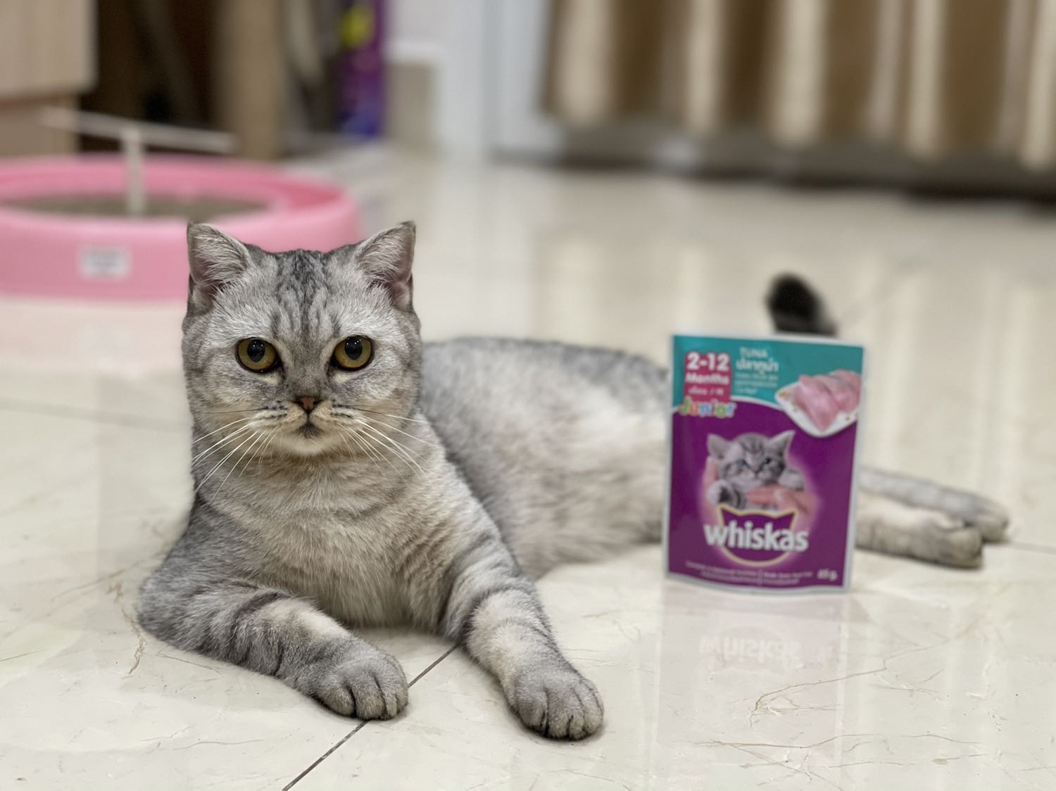 Pé Điệu và Nị nhà mình rất thích., Mình tập cho 2 em từ Mlem Mlem là được ăn Pate., 2 em nghe là biết ngay sắp dc ăn món yêu thích.