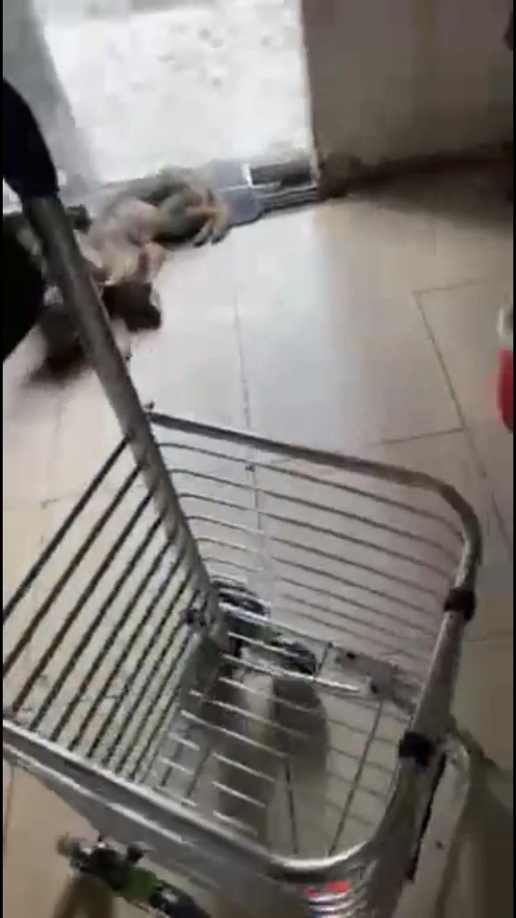 Xe chắc chắn, ko có chi tiết móc treo đồ (in logo Nikita)- Hàng tốt trong tầm giá, nặng 3,2kg (ko phari 2kg) chưa rõ có phải là inox ko hay sắt mạ vậy !? Xe chắc chắn, ko có chi tiết móc treo đồ (in logo Nikita)- Hàng tốt trong tầm giá, nặng 3,2kg (ko phari 2kg) chưa rõ có phải là inox ko hay sắt mạ vậy !?