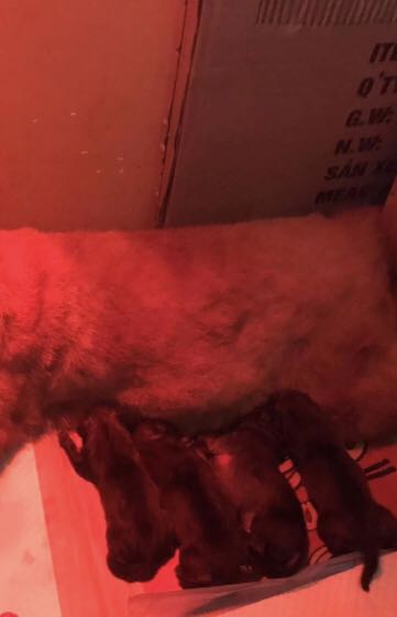 Quá ổn so với mức giá, giao nhanh, nice Quá ổn so với mức giá, giao nhanh, nice