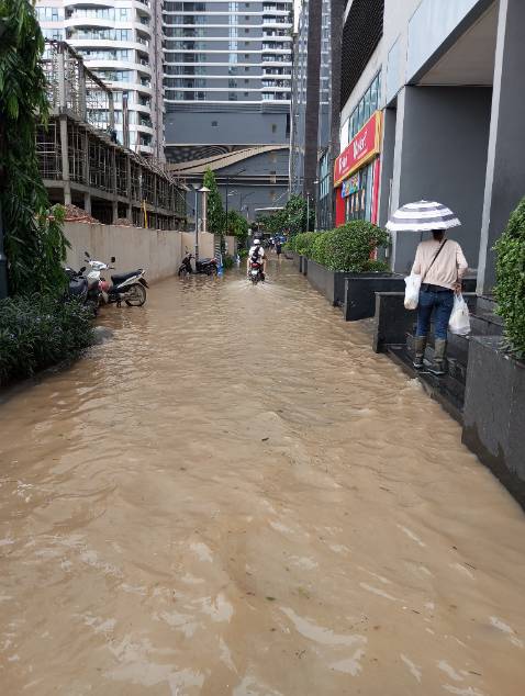 Không có ý kiến