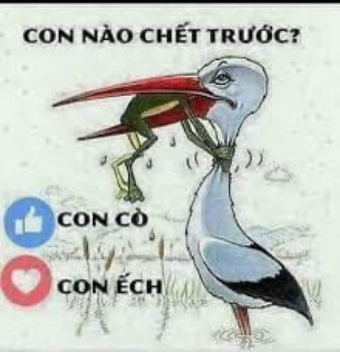 Đầu nó lúc lắc. Chất lượng hợp với giá thành. Hàng KM ko xài được! Gọi là KM cho có.
Nhẹ! Dễ mang theo. Ae nên mua 1,6M, thực tế nó cũng lên 1.8m đấy.