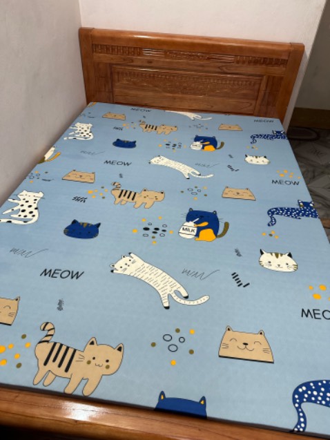 Đệm rất êm, nhà bán phục vụ tốt, hẹn giao lắp rất nhanh và chuyên nghiệp. 
Shipper của cửa hàng rất nhiệt tình, hỗ trợ bê nệm lắp tận giường.