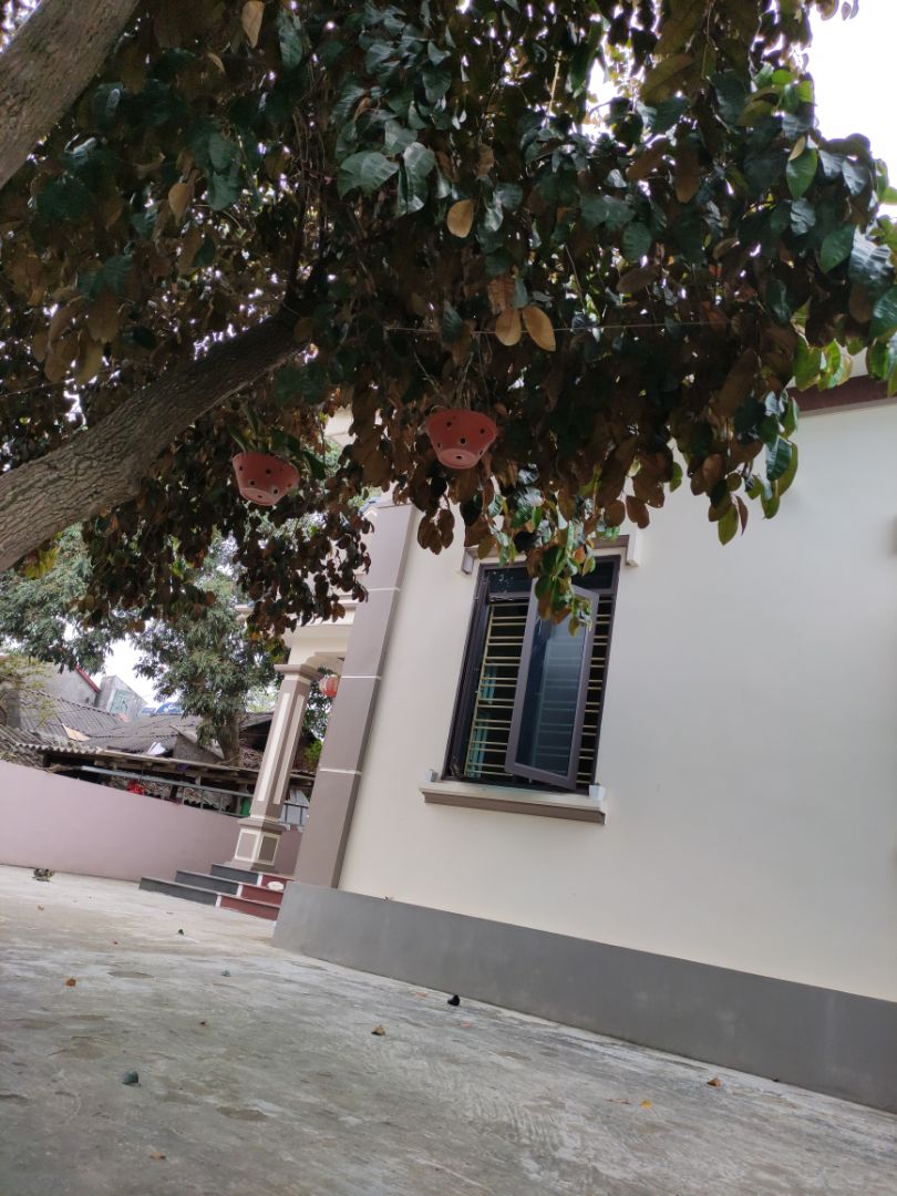 Chất lượng sản phẩm tốt Tiki đóng gói và giao hàng nhanh. Nhân viên tư vấn tuyệt vời. Yêu TiKi vì có tiki now ko phải lo phí vận chuyển Chất lượng sản phẩm tốt Tiki đóng gói và giao hàng nhanh. Nhân viên tư vấn tuyệt vời. Yêu TiKi vì có tiki now ko phải lo phí vận chuyển