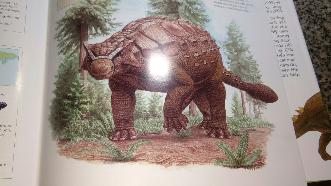 Cuốn sách với tựa đề gốc " the complete book of dinosaurs " của Dougal Dixon - tác giả của nhiều cuốn về động vật nổi tiếng. Mình sẽ nhận xét cuốn sách này những mặt như sau:
 Về chất lượng : cuốn sách mà tiki giao tới còn nguyên vẹn, mới tinh và có mùi thơm của sách. Shipper của tiki thân thiện,  giao hàng đúng hẹn. 
 Về nội dung : 
    Tính tới thời điểm hiện tại, thì đây là cuốn sách về khủng long đầy đủ nhất tại Việt Nam. Cuốn sách giới thiệu 355 loài khủng long và động vật thời Tiền sử khác như dực long, placodont, ngư long,nothosaur,... cuốn sách nêu từng loài khủng long trong kỉ Triassic, Jurassic và Creata trong đó từng thời gian sẽ phân loại,sắp xếp các loài trong các nhóm khủng long .Mỗi loài luôn có thông tin về kích thước, nơi phát hiện và phân loại rất chi tiết. Tên từng loài được giữ nguyên và có thêm các tên Hán Việt giúp người đọc dễ nhớ hơn. Và cái cuối cùng là sách được minh hoạ bằng hình ảnh đẹp đến từng chi tiết. 
       Nói về nhược điểm,theo mình thì cuốn sách này chỉ đúng hơn 80 phần trăm các thông tin. Do cuốn sách được ở nước ngoài xuất bản vào 2010 , nên tính đến thời điểm hiện tại 2019 thì cũng có những sai sót về thông tin lẫn hình dáng của chúng. Ví dụ như trường hợp con Liopleurodon ở trang 125 nói rằng chiều dài của nó là 25 m tuy nhiên hiện tại  kích thước của nó chỉ còn 7 m và còn kha khá lỗi sai khác nữa. Về bản dịch không nói tới lỗi sai chính tả thì bản dịch khá tốt. Mong Đong A có cập nhật những thông tin ngày càng chính xác để có hiệu đính cuốn sách ngày càng tốt hơn.  
 Cuốn sách này đáng được mọi người đọc và kham khảo, kể cả trẻ em và người lớn :v