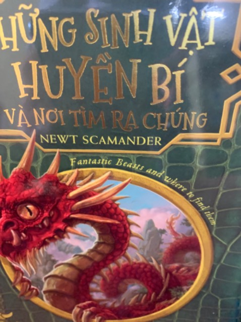 Harry Potter là bộ truyện đã quá nổi tiếng, có lẽ không ai là không biết bộ truyện này, kể cả những người chưa đọc cuốn sách này.

Tôi biết đến Harry Potter lần đầu tiên là hồi học cấp 2, lúc đó mỗi tuần NXB Trẻ cho ra 1 tập truyện rất mỏng và chỉ nhỏ bằng cuốn sổ tay. Hồi đó ngày nào tôi và các bạn cũng mong ngóng để được đọc tập mới. Tôi lớn lên và trưởng thành cùng cậu bé phù thủy và từng tập truyện. Sau này không phải chờ đợi từng tập truyện nhỏ của từng phần nữa, mà đã được đọc 1 lúc cả tập truyện luôn.