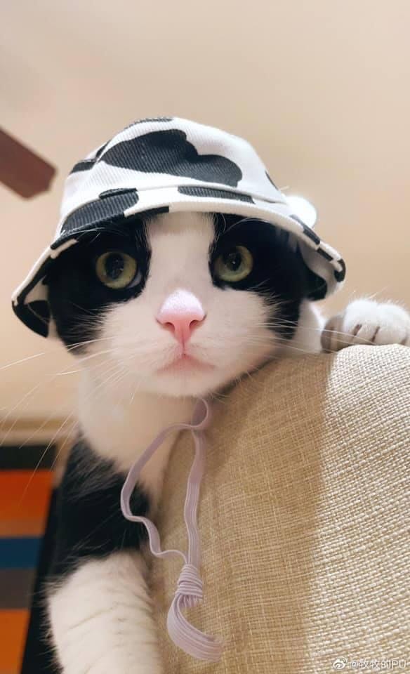 Chất lượng tốt Chất lượng tốt Chất lượng tốt Chất lượng tốt Chất lượng tốt Chất lượng tốt