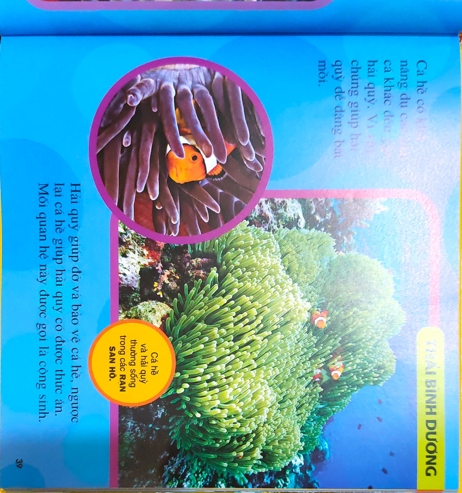 Hình ảnh thật tế sống động, chữ to rõ, trình bày bắt mắt. Thông tin hữu ích. Cách Hành văn đơn giản, dễ hiểu giúp các bé dễ tiếp thu. Rất hài lòng.