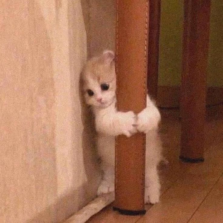 Cho shop 4 sao thui,vì quần dài quá,tuy nhiên chất liệu vải mát với mặc rất dễ chịu,còn nhìu chỉ thừa,shop gói hàng kĩ càng,nói chung là ổn áp