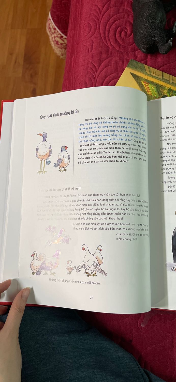 Hài lòng về sp. Ship siêu nhanhhhh. Gói hàng cẩn thận